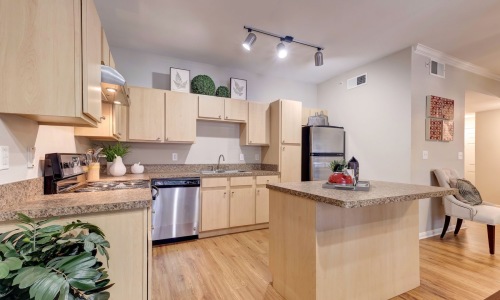 Open space living area with natural lighting