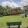 a playground with a slide