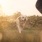a dog running in a field